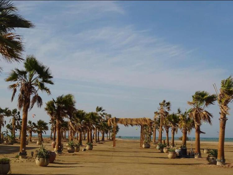 Mangroovy - Elgouna Authentic Designer Shared 2 Bdr Each With Private Bathroom For Kitesurfers With Pool View & Access Gazde/Camere de închiriat